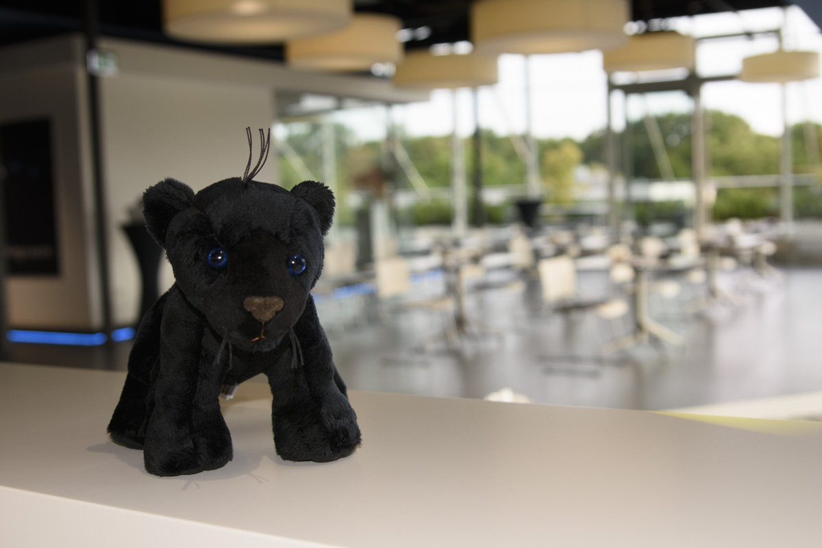 A plush black panther figurine sits on a white countertop, with a bright, modern background featuring a spacious indoor area with tables and chairs.