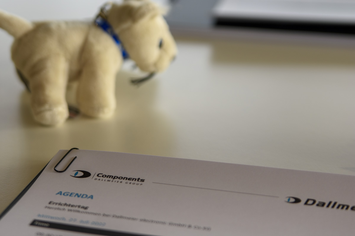 A soft, beige plush dog sits beside a printed agenda titled "Agenda" on a desk, with a date and details visible.