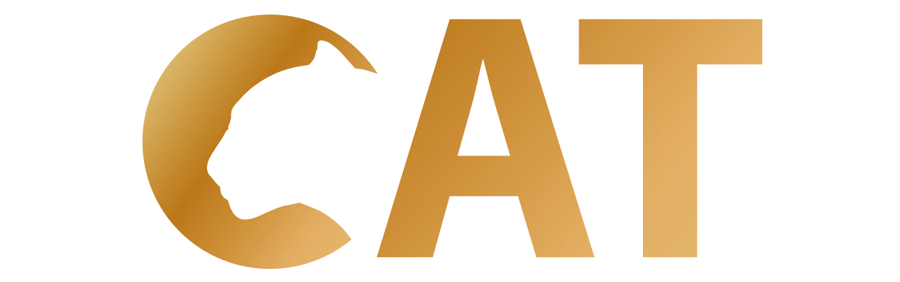 Dallmeier Logo CAT