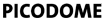 Dallmeier Logo Picodome